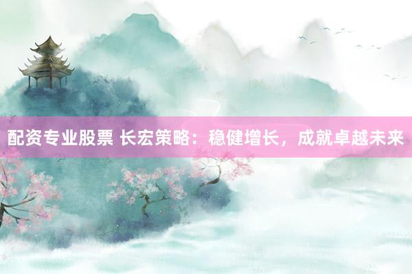 配资专业股票 长宏策略：稳健增长，成就卓越未来