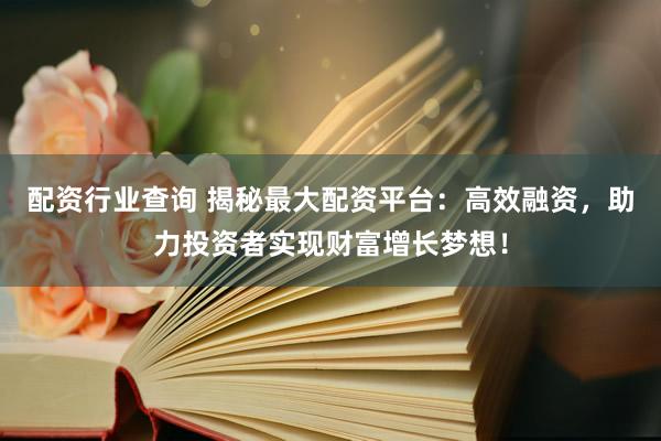 配资行业查询 揭秘最大配资平台：高效融资，助力投资者实现财富增长梦想！