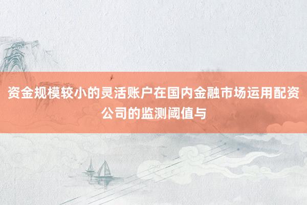 资金规模较小的灵活账户在国内金融市场运用配资公司的监测阈值与