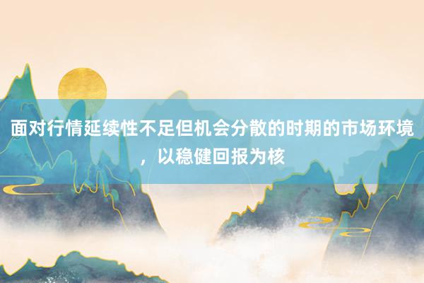 面对行情延续性不足但机会分散的时期的市场环境，以稳健回报为核